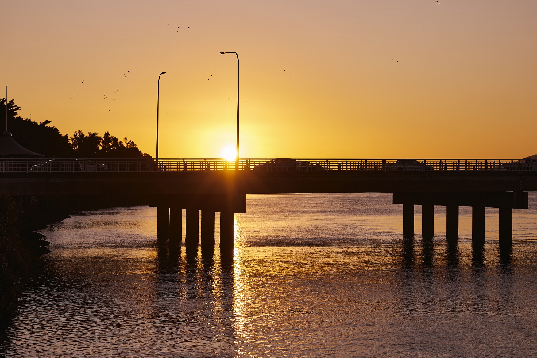 Bridge in Sunset